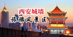 洋妞色图中国陕西-西安城墙旅游风景区