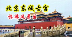 操骚货了，快点中国北京-东城古宫旅游风景区